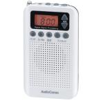  ом электро- машина RAD-P350N-W белый AudioComm DSP тонкий радио 