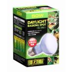 ジェックス サングロースポット 50W PT2131 爬虫類・両生類用品