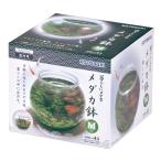  Kotobuki прикладное искусство жизнь .me Dakar me Dakar горшок M производитель прямая поставка 