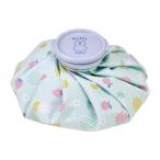 ske-ta-ICB2 Miffy лед. .( лёд сумка M 21cm)