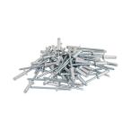 SK11 ブラインドリベット 50入 SA5-6M
