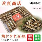 [送料無料]焼にぎす36尾（3尾刺×12串）