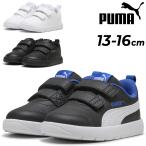  Puma пинетки спортивные туфли PUMA пальто Flex V3 V in вентилятор to13-16cm ребенок обувь детская обувь Kids обувь текстильная застёжка ремень /310252[pu22pd]