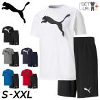 半袖Tシャツ ハーフパンツ 上下 メンズ セットアップ/プーマ PUMA スポーツウェア トレーニング ジム 上下組 男性 普段使い 2点セット/588860-588864