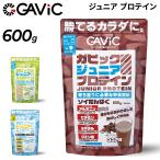 ガビック  子供用 GAVIC ジュニア プ