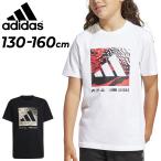 アディダス 半袖 Tシャツ キッズ ジュニア 130-160cm 子供服 adidas カモロゴ グラフィック TEE プリントT スポーツウェア 半袖シャツ 子ども トップス /KRU69