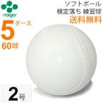 ナイガイ ソフトボール 検定落ち 2号 練習球 5ダース 60球/小学生用 送料無料 スリケン B級品 内外 NAIGAI/【ギフト不可】
