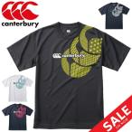 カンタベリー　限定Tシャツ 半袖  メンズ canterbury