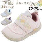 ベビーシューズ 瞬足 すみっコぐらしコラボ シュンソク 足育シリーズ 女の子 12-15cm 4E 子供靴 ベビー靴 キッズ ガールズ スニーカー 幅広 ワイド設計 /SJB1130