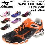 バレーボールシューズ メンズ レディース 当店オリジナルカラー/ミズノ Mizuno WAVE LIGHTNING TYPE LOW 限定 ウエーブライトニング /V1GX200000