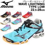 ショッピングバレーボール シューズ バレーボールシューズ メンズ レディース 当店オリジナルカラー/ミズノ Mizuno WAVE LIGHTNING TYPE LOW 限定 ウエーブライトニング /V1GX200000-AP