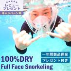 シュノーケリング フルフェイスマスク HeleiWaho ヘレイワホ ALOHA ドライシュノーケリング マスク ＆ シュノーケル 2点 セット の機能がオールイン