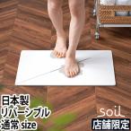 ソイル ジェム コースターの特典 バスマット 吸水 バスマット リバーシブル スタンダード アスベスト不使用 珪藻土