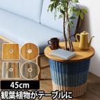 プランツテーブル 45cm Plants Table 中 観葉植物 ウッド ミニテーブル