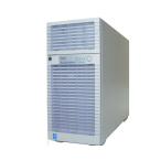 NEC Express5800/T110e-M (N8100-2082Y) Xeon E5-2403 V2 1.8GHz память 8GB HDD 300GB×3(SAS 2.5 дюймовый ) DVD-ROM AC*2
