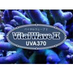 Blue Harbor　Vital Wave II ／ バイタルウェーブ2　UVA370