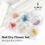 ドライフラワー 押し花 3枚×6色セット ネイル 押し花 デコ レジン 押し花 ハーバリウム