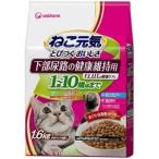 猫用ドライフード