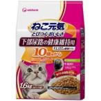 猫用ドライフード
