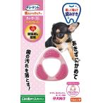 ハーツ チューデント 歯みがきおもちゃ ティーザー ダブルソフトタイプ SS