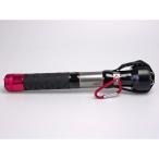 ランガンイカギャフ 300 小継 振出イカ専用ギャフ 釣り プロマリン