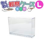 wa тяпка . наблюдение кейс LET200 L рыбалка ширина 21× высота 17× глубина 5cm шкала . есть Pro морской 