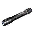 アニサキスライト 津本式 釣り Hapyson YF-980 強力UV 完全防水IPX7 発見 UVライト 山田電器工業