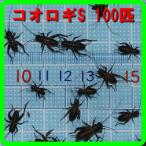 e. для крышка ho sikoorogiS размер 100 шт ( ящерица, ящерица, лягушка. сырой приманка )