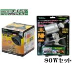 ビバリア カーボンヒーター 80W クリップスタンド太陽 セット 爬虫類ヒーター 管理80
