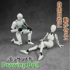 デッサンドール 男女セット台座付き 人形人体 模型 フィギュア スケッチ