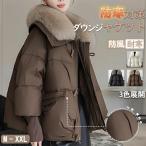  с хлопком жакет женский высшее . женщина блузон зимний костюм защищающий от холода жакет легкий одноцветный ... способ зима одежда зима предмет бизнес плотная ткань толстый защищающий от холода осень-зима бизнес пальто 