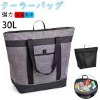 クーラーバッグ 保冷力 最強 大容量