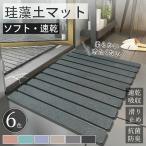 珪藻土バスマット 玄関マット 珪藻土マット 珪藻土 プレゼント ギフト バスマット 足拭きマット 風呂 浴室 キッチンマット 北欧風 室内 吸水 カーペット 屋内