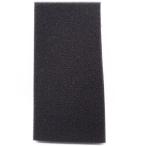 べっぴん  スポンジ (C-2828) 海水魚 サンゴ 生体