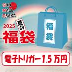 2025年夏 福袋 電子トリガー電動ガン 15000円福袋(約37,820円〜38,110円相当)