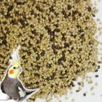 小鳥の餌 岩手県産 無農薬シード オリジナルミックス 1kg インコ餌 鳥の餌