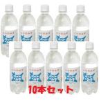 【新春セール1/1-6】とりのみず　500ml ×10本セット