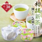 お茶 新茶 2024 緑茶 静