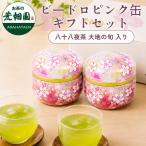 お中元 お茶  緑茶 静岡茶 茶葉 深蒸し茶 ギフト プレゼント 高級茶 ビードロピンク缶 大地の旬 2本箱入 爆買