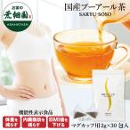 健康茶 プーアール茶 