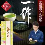 お茶 新茶 2024 緑茶 静