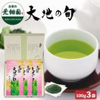  подарок чай зеленый чай подарок чай лист глубокий .. чай японский чай чай. лист Shizuoka чай большой земля. .100g 3 пакет в коробке отметка использование . покупка 