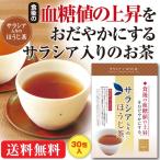 サラシア茶 健康茶 ほうじ茶 お茶 �