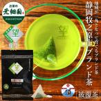 お茶 緑茶 ティーバッグ ティーパック 深蒸し茶 日本茶 静岡茶 水出し緑茶 望 銀印ティーパック 2g×30ヶ 送料無料 セール ■5921