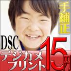 �ǥ�����ץ��ȡ�DSC�������ʼ������դ��ˡ����ʼ��̿��ž夲������̵��