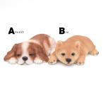 イヌ　犬　キャバリア　シバ　オブジェ　オーナメント　置物　インテリア