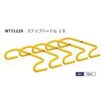 nisi* спорт (NISHI) подножка бег с препятствиями 10 5 шт. комплект NT7122S Agility ... Sprint тренировка наземный грузовик состязание 