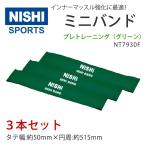 nisi* спорт (NISHI) минивэн do pre тренировка зеленый 3 шт. комплект NT7930F body . core 