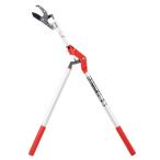  тысяч . Anne Bill type futoshi ветка порез .1.0M SGLP-6 Okinawa * отдаленный остров отправка не возможно 