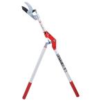  тысяч . Anne Bill type futoshi ветка порез .1.4M SGLP-7 Okinawa * отдаленный остров отправка не возможно 